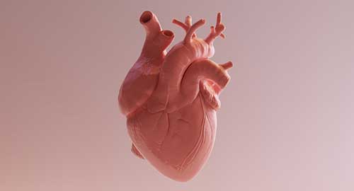 Heart Specialist Doctor in Hyderabad